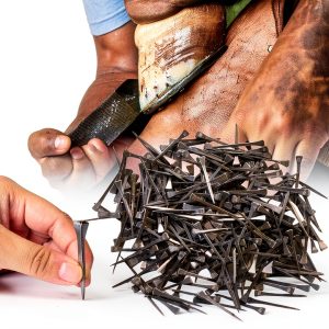 E4 Horseshoe Nails Stainless Steel 250 Pcs Lukar Brand-0
