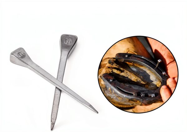 Lukar E6 Horseshoe Nails Stainless Steel 2 Inch 250pcs-4