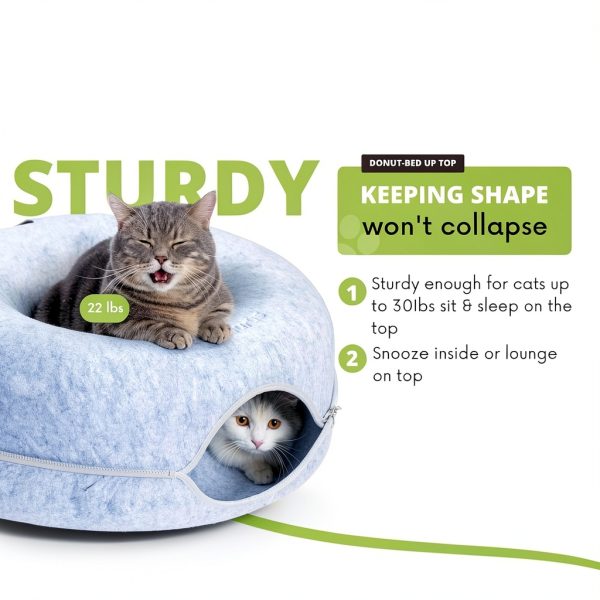 Cattasaurus Peekaboo Cat Cave Bed Tunnel Large Cats-4